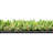 6X8 Economic Turf Rug