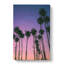Palm Trees At Sunset In Abstract by Shirley Hibberd - Wrapped Canvas-55341376