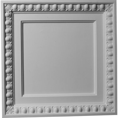 Egg And Dart 24'' L x 24'' W Urethane Ceiling Tile In White