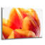 «Just A Peek» par Pamela Plummer-1109860077