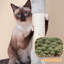 136cm H Cat Tree-664204762
