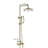 Wall-Mounted Three-Function Bathroom Shower Head Set