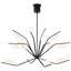 Belterra 38 Chandelier-423539928-423539929