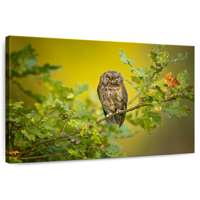 Owl Perching On Tree, 8" H x 12" W