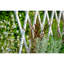 Elevated Planter with Trellis-1057652361