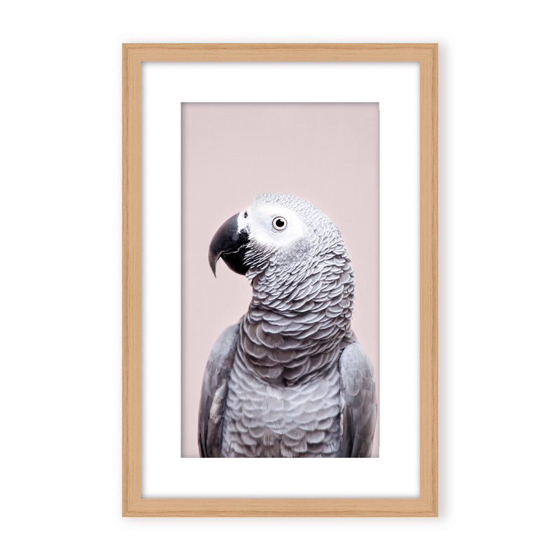 Nature Inspired African Gray by  - Picture Frame Photograph on Paper, 24" H x 16" W x 1.125" D, Framed Print, Gold