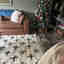 Customer photo 2 of 2