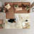 Dree Abstract Indoor Rug
