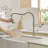 FLG Pull Down Kitchen Faucet-70133106