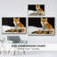 Renard-93399979-93399980