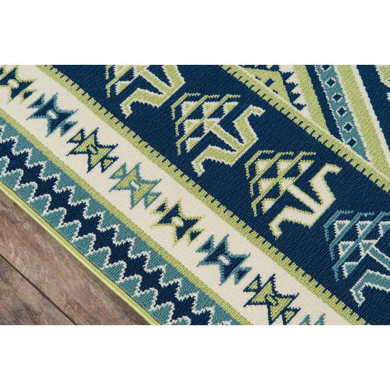 Tapis intérieur / extérieur vert de style sud-ouest Smethwick, Rectangle 6 pi 7 po x 9 pi 6 po