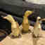 Photos des clients 5 de 5