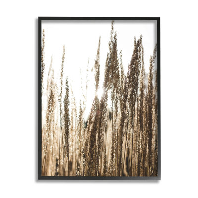 Art mural texturé giclée par rayon de lumière par Susan Ball