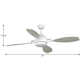 56'' 4 Blade Ceiling Fan with Light Kit