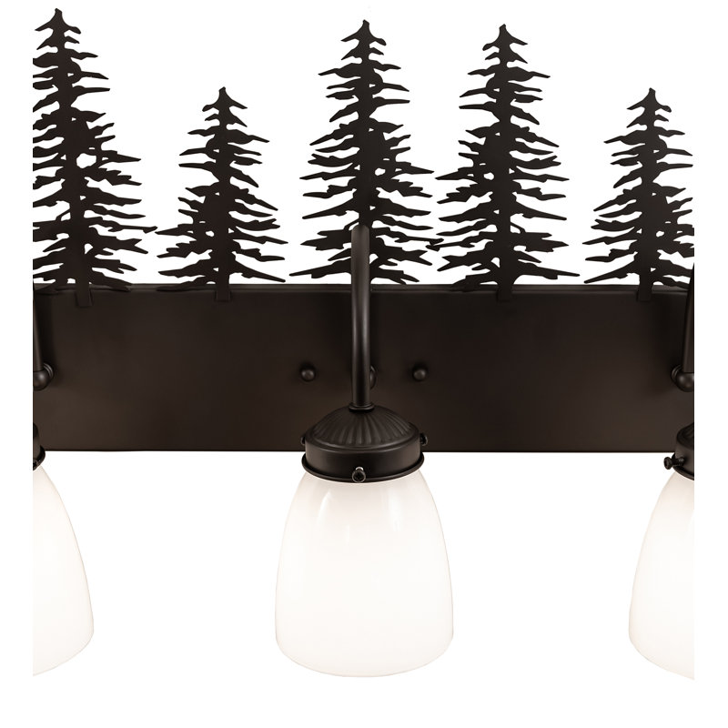 Vanity Light, Oil Rubbed Bronze, 13" H x 24" W x 8" D