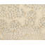 Effervescence Polka Dots Area Rug in Neutral/White-40706242