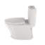 Aquia® Dual-Flush Elongated Two-Piece Toilet with Tornado Flush (Seat Included)-124885490