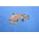Fish by Cinoby - No Frame Art Prints on Canvas