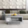 Caomhan Pedestal Coffee Table with Storage