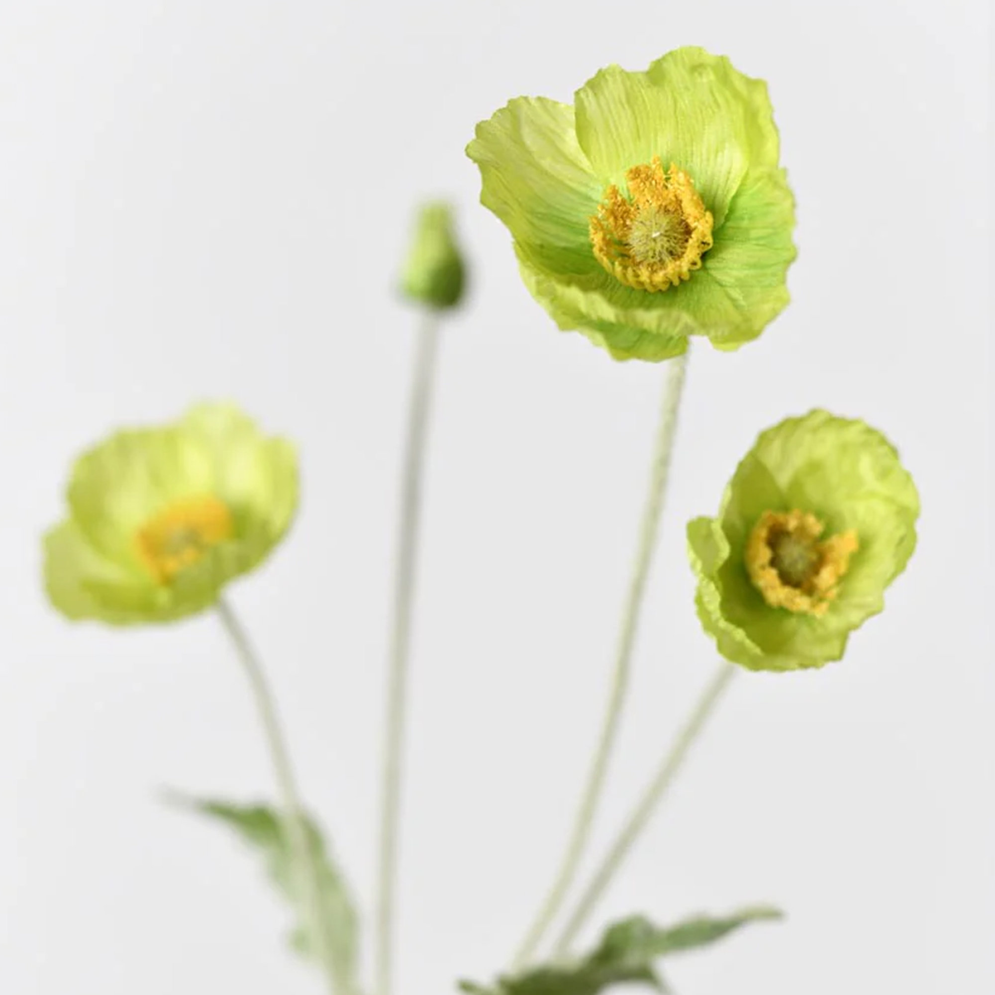 Ebern Designs Silk Decorative Artificial Common Poppy(Pack of 1 Branch ...