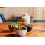 Sandia Dashiell 18 oz. Cereal Bowl-503113946