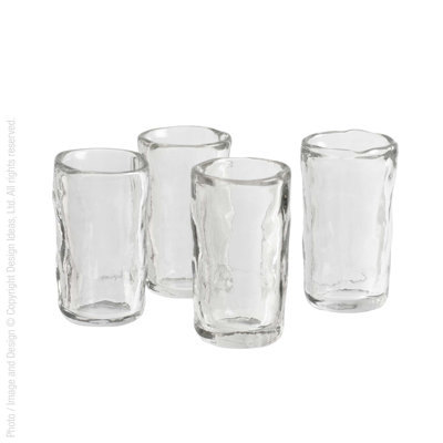 Shot Glass / Shooter Set