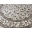 Oriental Area Rug in Taupe/Ivory