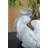 10X8x6.5" 5 Bunny Cement Planter