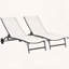 Ensemble de chaises longues 2 pièces avec roulettes et inclinable à 5 positions
