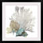 « Coral » par Aimee Wilson - reproduction d'impression sur toile tendue-403263568-515388065-403207844