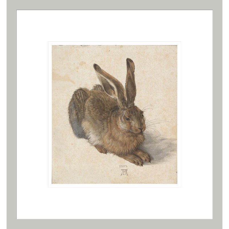 «Young Hare» par Albrecht Dürer, impression giclée sur cadre, 36.26" H x 33.5" W