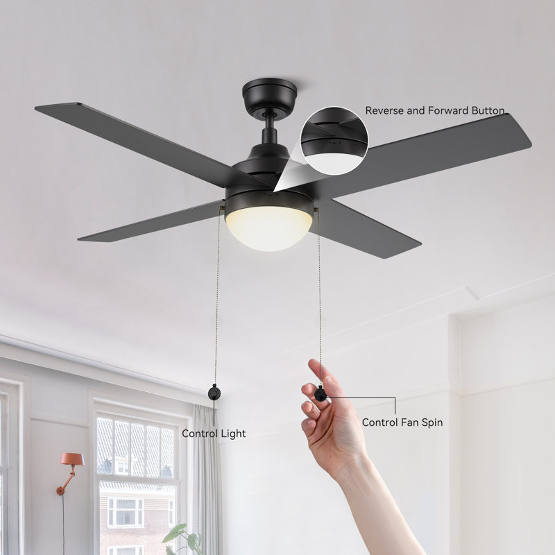 Aristodemo 52'' Ceiling Fan with LED Lights