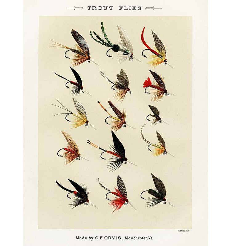 Marbury, Mary Orvis Canvas Art: Trout Fishing Flies V from Favorite Flies and Their Histories, 36" H x 28" W