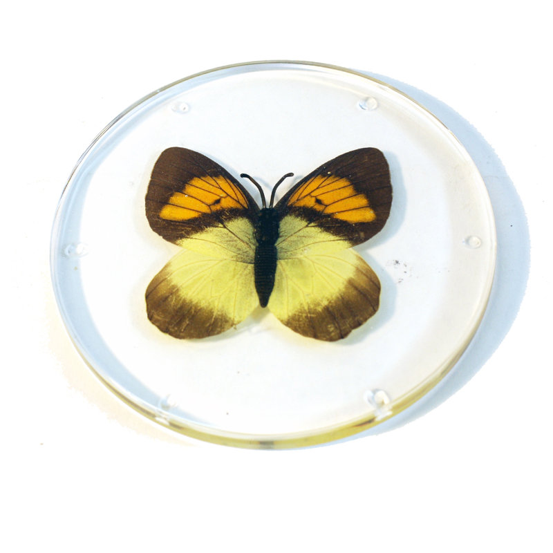 Silicone Round 1 Piece Coaster