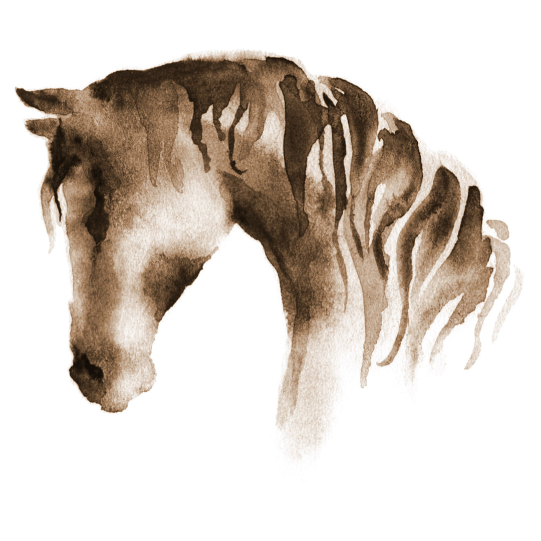 Leinwandbild Wet Watercolour Horse Head