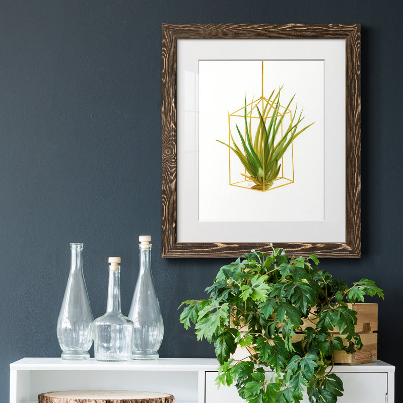 «Hanging Airplant II», reproduction d'art sur papier encadrée, H 24 po x l 18 po x P 1,5 po, Cadre noyer