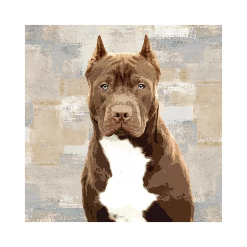 Pit Bull by Keri Rodgers - Wrapped Canvas Print, 45.72 cm H x 45.72 cm W
