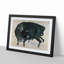 Black Bull by Mochizuki Gyokusen - Picture Frame Art Print-55512603-55512605