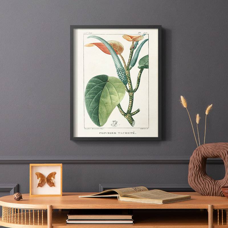 «Turpin Tropical Botanicals II», reproduction encadrée - bois massif, Noir, H 10 po x l 8 po