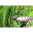 Bergson Metal Pedestal Birdbath