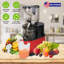 Presse-agrumes à pression lente à froid 300W pour légumes et fruits entiers avec fonction inversée 2 récipients à brosse de nettoyage transparent