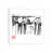White Framed is unavailable