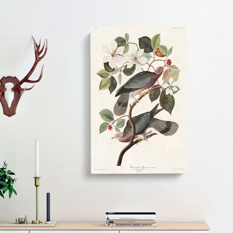 Band-tailed Pigeons by John Audubon - Wrapped Canvas Painting, 60cm H x 40cm W x 3cm D