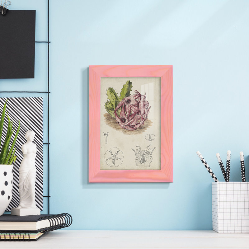 Cactus antique III, impression sur papier, H 7 po x l 5 po x P 1 po, Rose