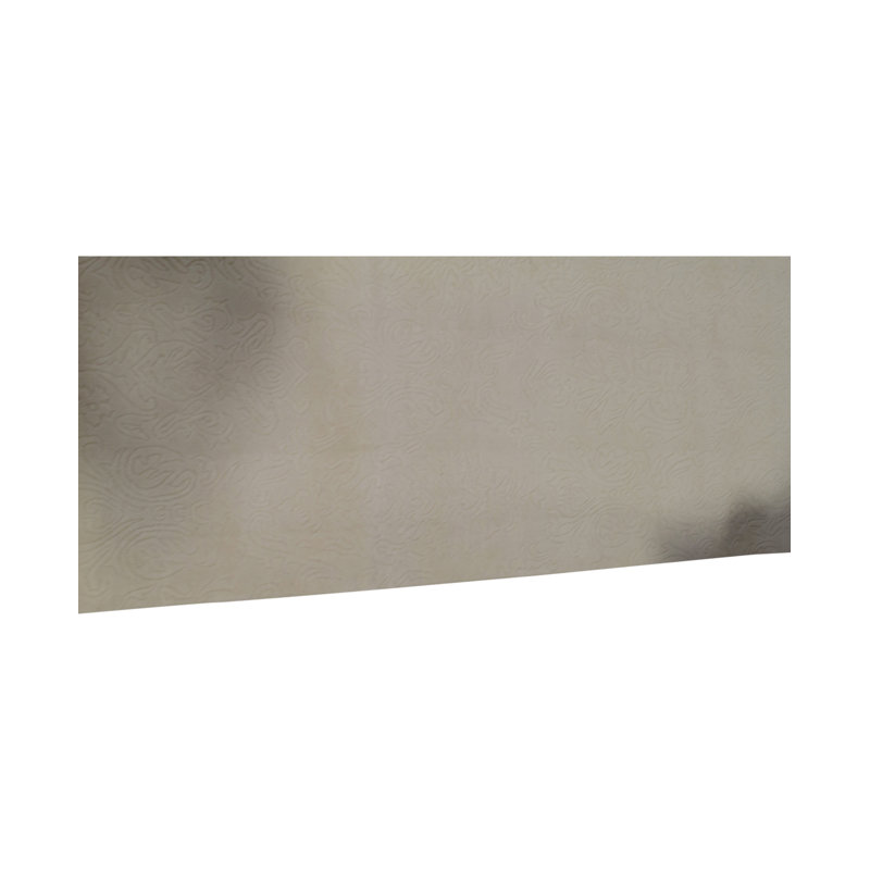 Area Rug in Beige