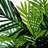 Antonella 30'' Faux Palm Plant in Wicker/Rattan Basket-515912831