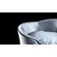 Earlene Dog Sofa in Light Grey