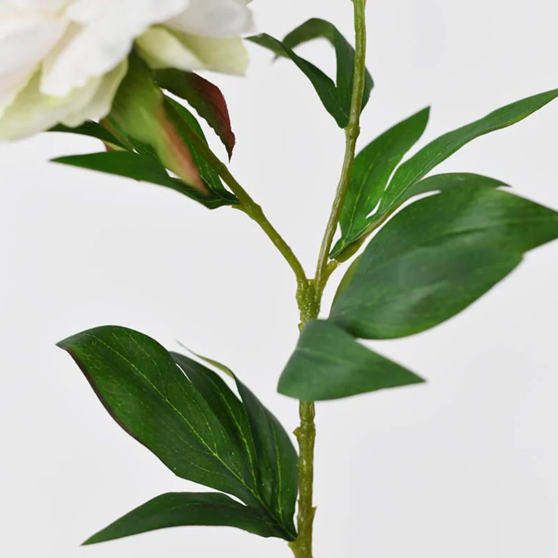 Audet Silk Decorative Artificial Phoenix Peony(Pack of 1 Branch), Pink