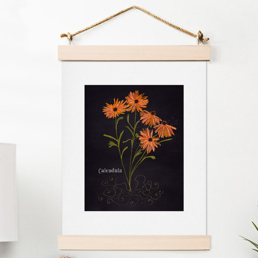 « herb jardin calendula », impression, H 14 po x l 11 po x P 0,13 po
