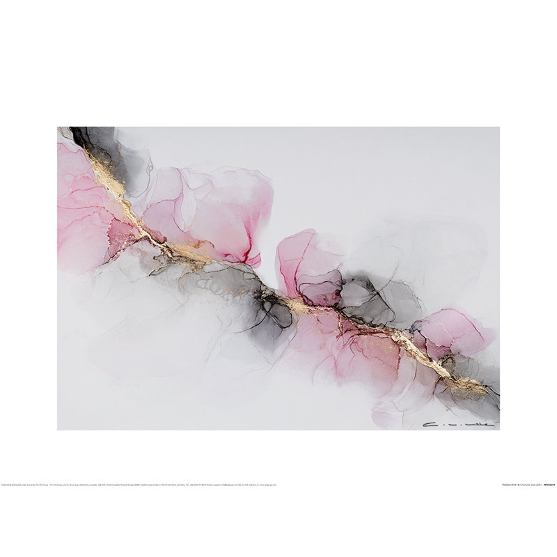 Tickled Pink by Charlotte Vale - No Frame Painting, 30cm H x 40cm W x 0.1cm D
